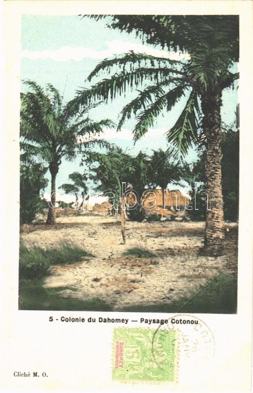 Cotonou, Paysage / palm trees