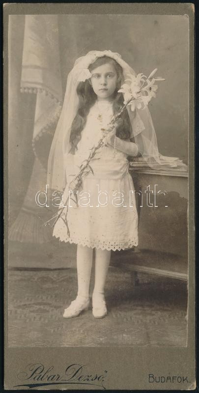 cca 1905 Budafok, Pabar Dezső fényképészeti műtermében készült, keményhátú vintage fotó, 16x8 cm