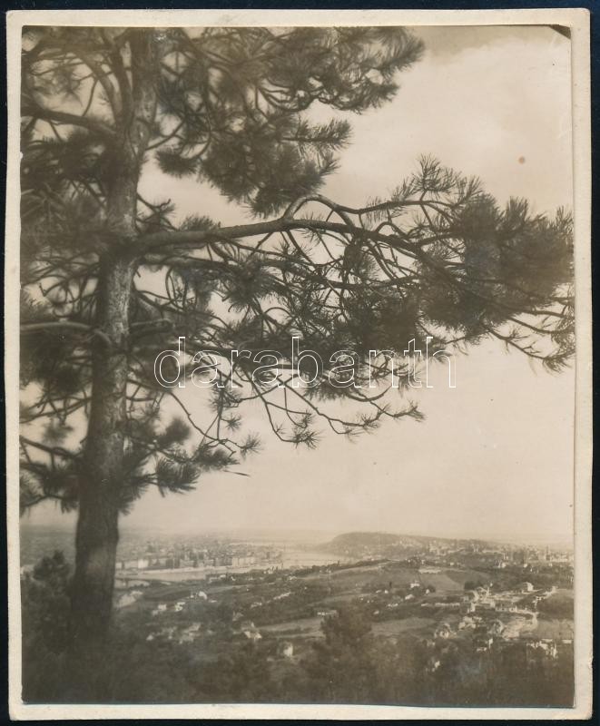 1935 Kinszki Imre (1901-1945) budapesti fotóművész hagyatékából, a szerző által feliratozott vintage fotó (ez a szerző 625. felvétele), 8x6,5 cm