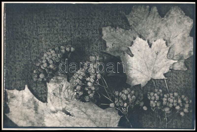 cca 1969 Őszi csendélet, dokupapírra nagyított, jelzés nélküli, vintage fotóművészeti alkotás, kasírozva, 20x30 cm