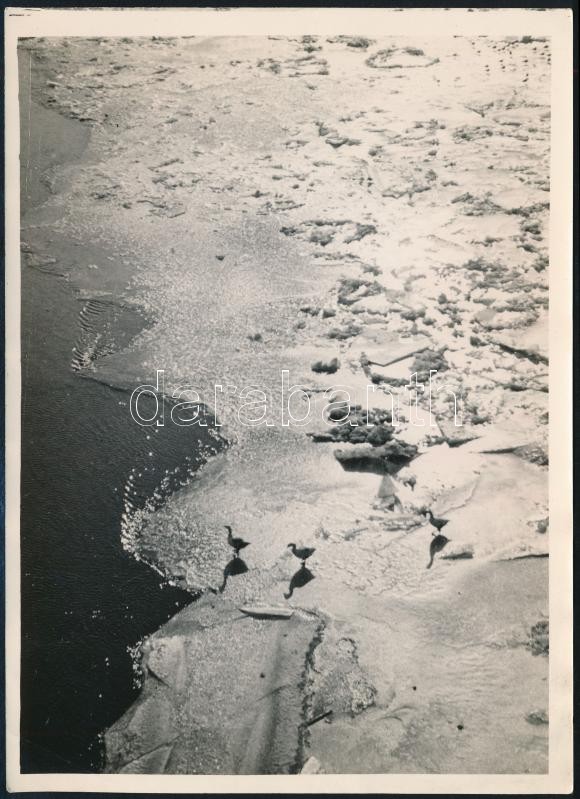 cca 1932 Kinszki Imre (1901-1945) budapesti fotóművész pecséttel jelzett vintage fotóművészeti alkotása (Át a jégmezőn), sarkán törésvonal, 18x13 cm
