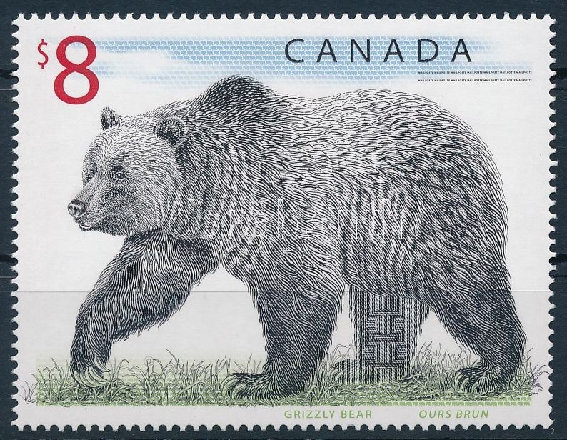 Brown bear stamp, Barna medve bélyeg