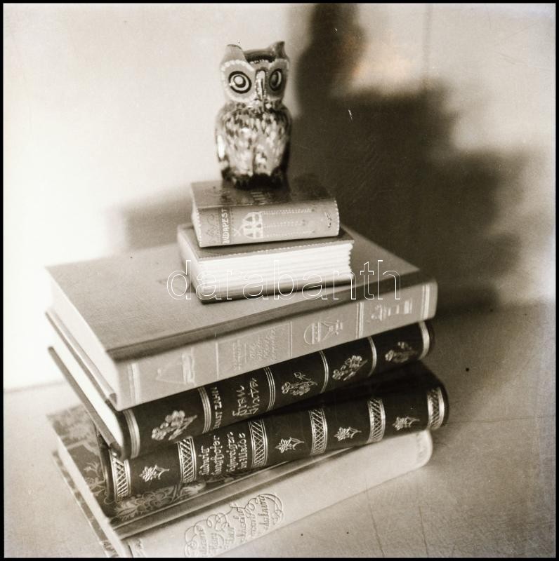 cca 1936 Thöresz Dezső (1902-1963) békéscsabai gyógyszerész és fotóművész hagyatékából vintage NEGATÍV (Bölcs bagoly a könyveken), 6x6 cm