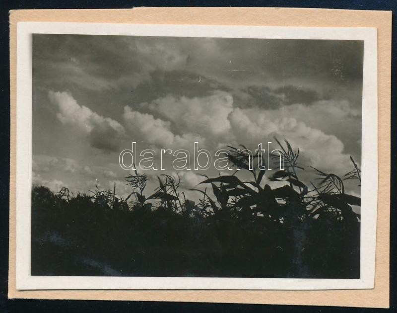 cca 1929 Kinszki Imre (1901-1945) budapesti fotóművész hagyatékából, jelzés nélküli vintage fotó (viharos égbolt), 4,3x5,8 cm