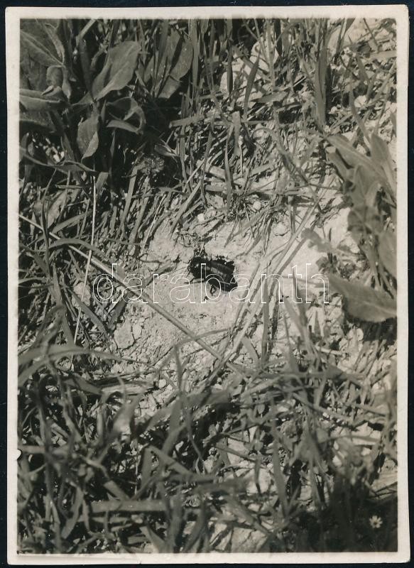 cca 1931 Kinszki Imre (1901-1945) budapesti fotóművész hagyatékából, a szerző által feliratozott vintage fotó (Grille), 8,5x6 cm
