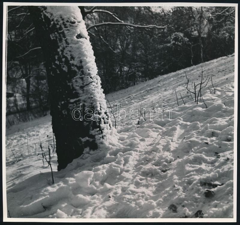 cca 1934 Kinszki Imre (1901-1945) budapesti fotóművész hagyatékából 1db vintage fotó, jelzés nélkül (téli hegyoldal), 17,3x18,5 cm