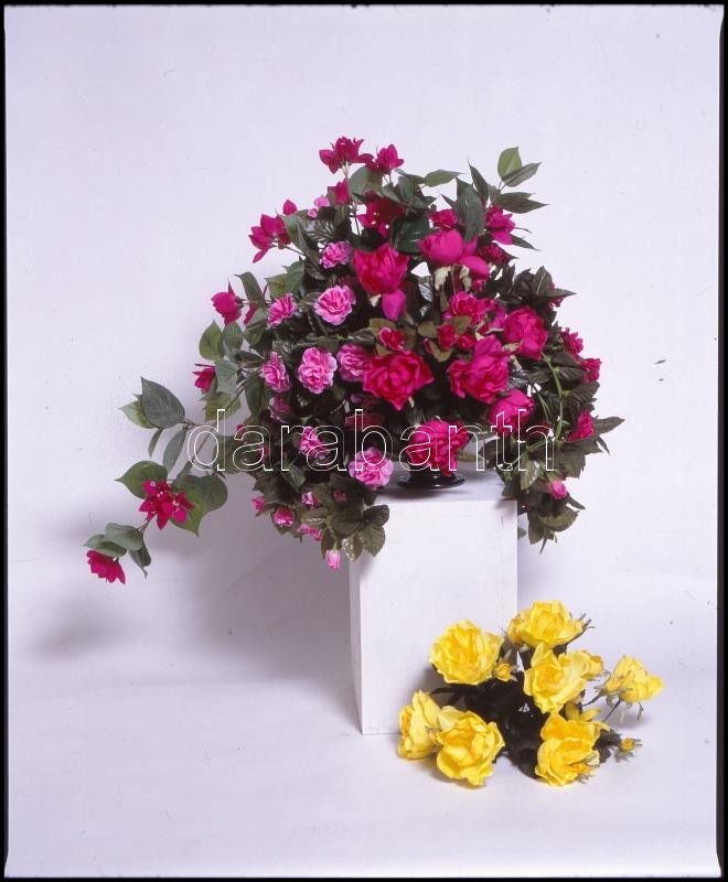 cca 1974 Műtermi virág és növény kompozíciók, szabadon felhasználható, professzionális minőségű, 13 db vintage DIAPOZITÍV, 6x7 cm