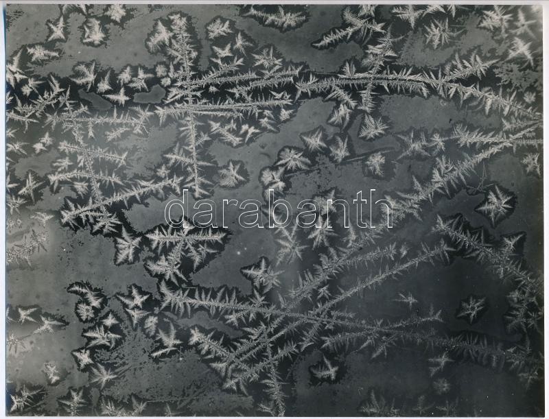 cca 1933 Kinszki Imre (1901-1945) budapesti fotóművész hagyatékából jelzés nélküli vintage fotó (jégvirág), 20x15,5 cm