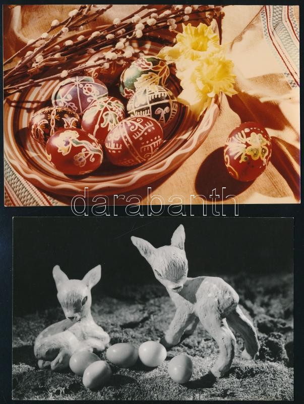 cca 1964 Dr. Csörgeő Tibor (1896-1968) budapesti fotóművész hagyatékából, 4 db vintage fotó, pecséttel jelzett képeslap tervek, 14x9 cm és 10x14,8 cm