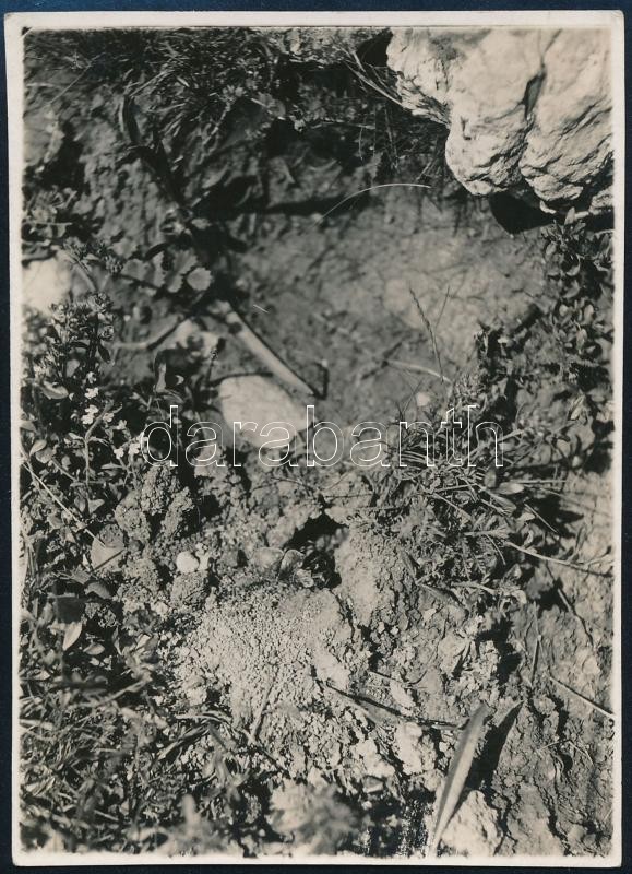 1934 Kinszki Imre (1901-1945) budapesti fotóművész hagyatékából, jelzés nélküli, de a szerző által németül feliratozott vintage fotó (Bild 17.), 8,5x6 cm