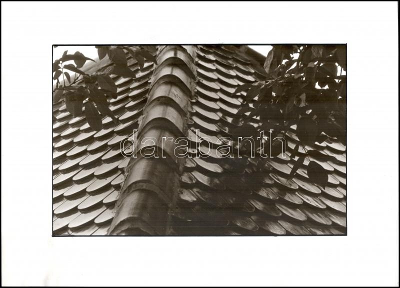 cca 1980 Marinkay István (1920-?) veszprémi fotóművész hagyatékából pecséttel jelzett vintage fotóművészeti alkotás (tető), 30x40 cm