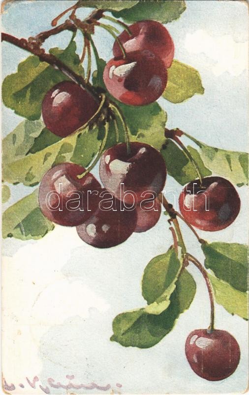 1931 Sour cherry. Uvachrom Nr. 4319. Serie 229. s: C. Klein (tear), 1931 Meggy. Uvachrom Nr. 4319. Serie 229. s: C. Klein (szakadás)