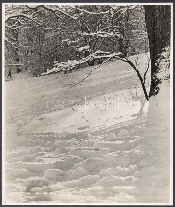 cca 1934 Kinszki Imre (1901-1945) budapesti fotóművész hagyatékából pecséttel jelzett, nagyméretű vintage fotóművészeti alkotás (Síelők nyoma a frissen hullott hóban), négy sarkában gombostű nyoma, 28,3x24 cm