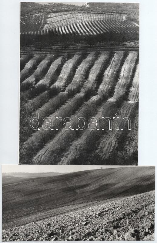 cca 1978 Mezőgazdasági tájak, Zsigri Oszkár (1933-?) budapesti fotóművész hagyatékából 2 db vintage fotóművészeti alkotás, az egyik feliratozott, 11,5x23 cm és 24x18 cm