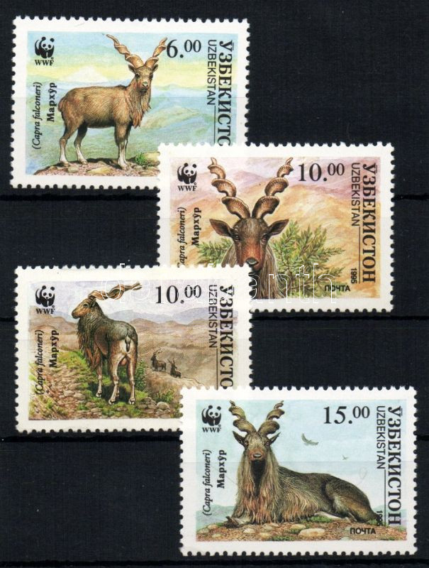 WWF Markhor set, WWF pödröttszarvú kecske sor, WWF Schraubenziege Satz