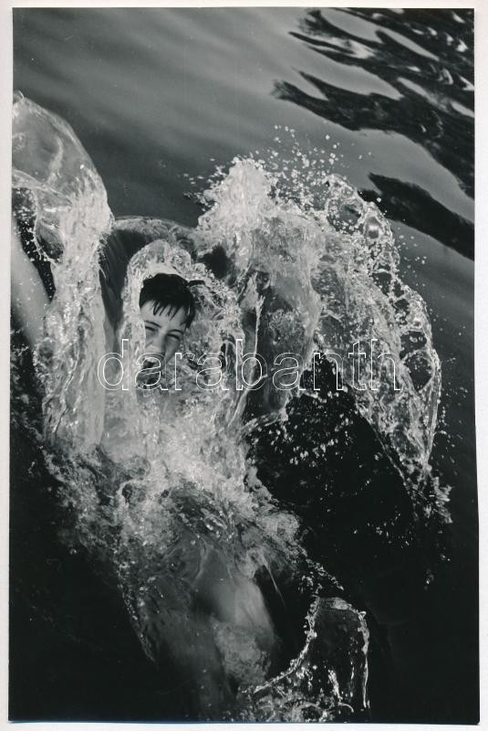cca 1973 Beliczay Pál jelzés nélküli vintage fotója, ezüst zselatinos fotópapíron, 15x22,8 cm