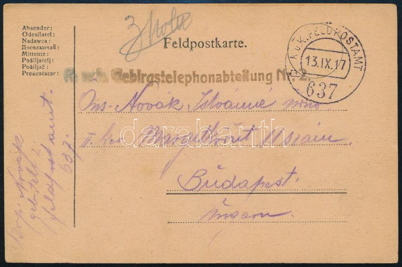 1917 Field postcard 