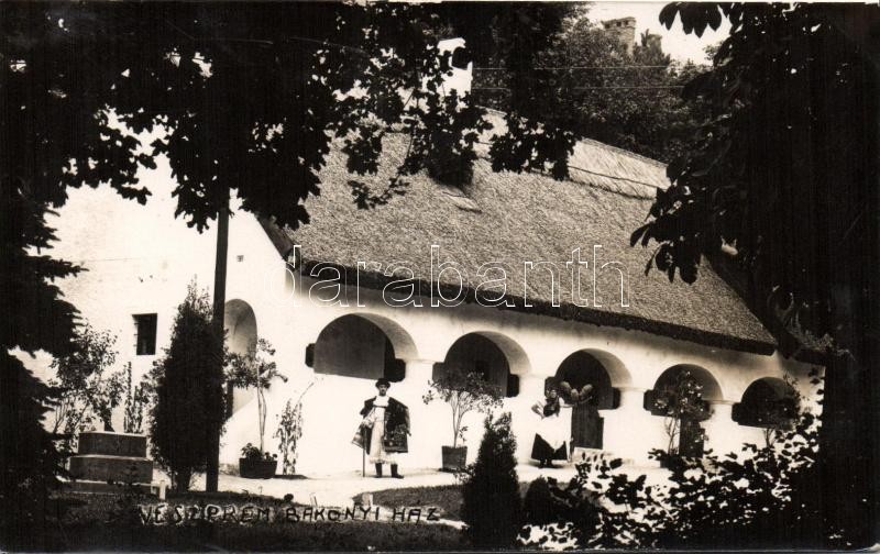 Veszprém Bakonyi Ház photo