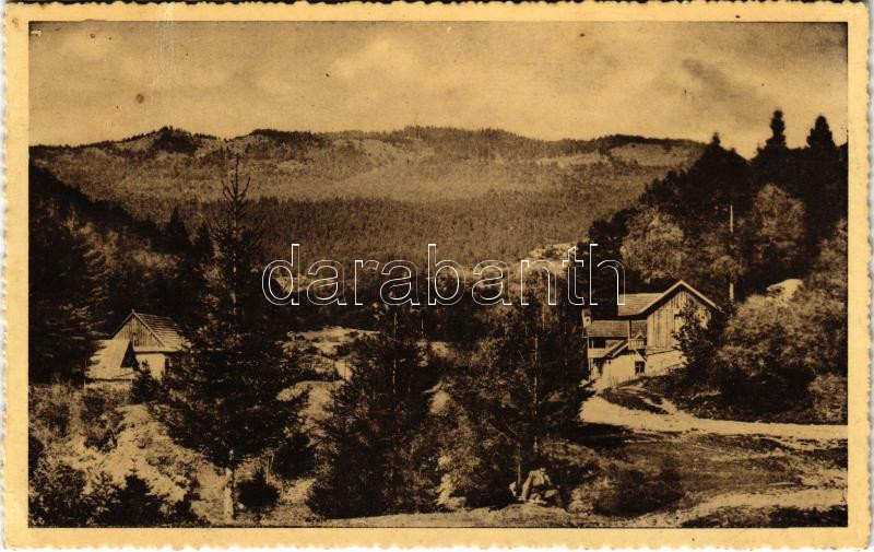 1937 Kovászna-fürdő, Baile Covasna; Isvorul Horgas / Horgasz forrás. Szabó nyomda kiadása / spa, spring source