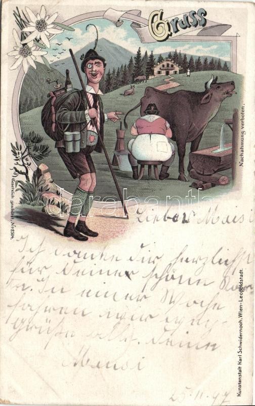 1897 Osztrák folklór, tehénfejés, humor, floral Art Nouveau litho, 1897 Austrian folklore, cow milking, humor, floral Art Nouveau Litho