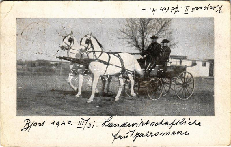 1940 Hungarian folklore, 1940 Magyar folklór