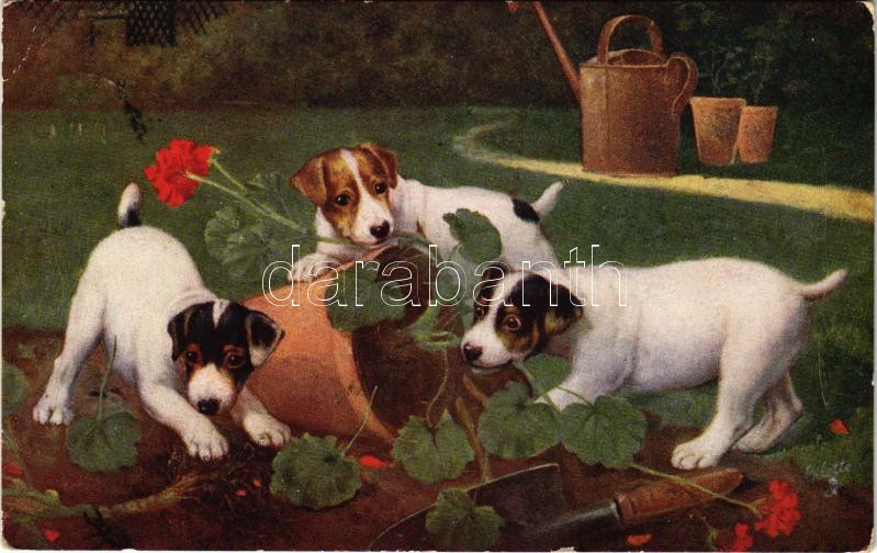 1915 Raphael Tuck & Sons' "Oilette" Postcard No. 9537. "When dogs are puppies" Series III., 1915 Raphael Tuck & Sons' "Oilette" Postcard No. 9537. "Amikor a kutyák kölykök" Series III.