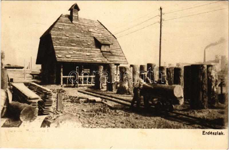 1917 WWI Austro-Hungarian K.u.K. military exhibition, forester's house + So. Stpl., 1917 Erdészlak. Tervezte Medgyaszay. József főherceg vezérezredes erdélyi hadikiállítása + So. Stpl.