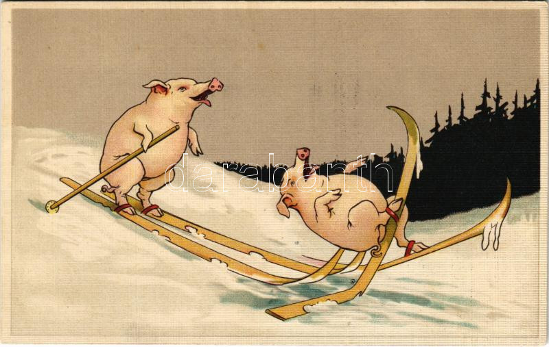 Pigs on ski, winter sport, humour. Special B. 3200., Síelő disznók, humoros képeslap Special B. 3200.