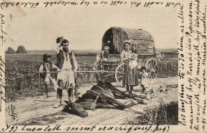 Cigány folklór, karaván, elpusztult ló, Gypsy folklore, Caravan, dead horse