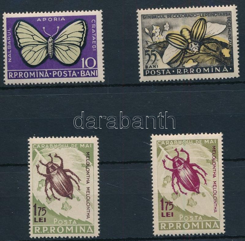 Insects set with type variation, Rovarok sor benne típusváltozat