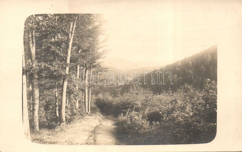 1908 Steinbach photo, 1908 Kőpatak photo