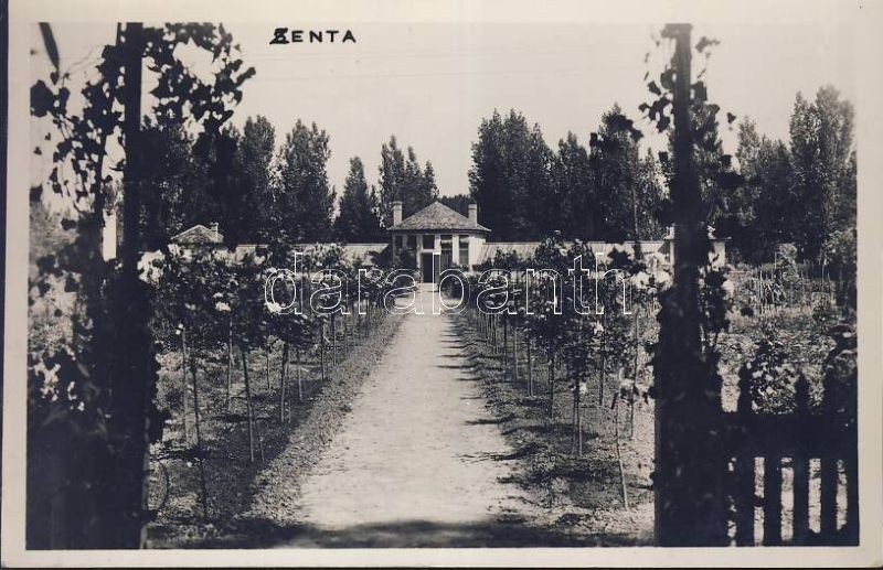 Senta public garden (gluemark), Zenta népkert (ragasztónyom)