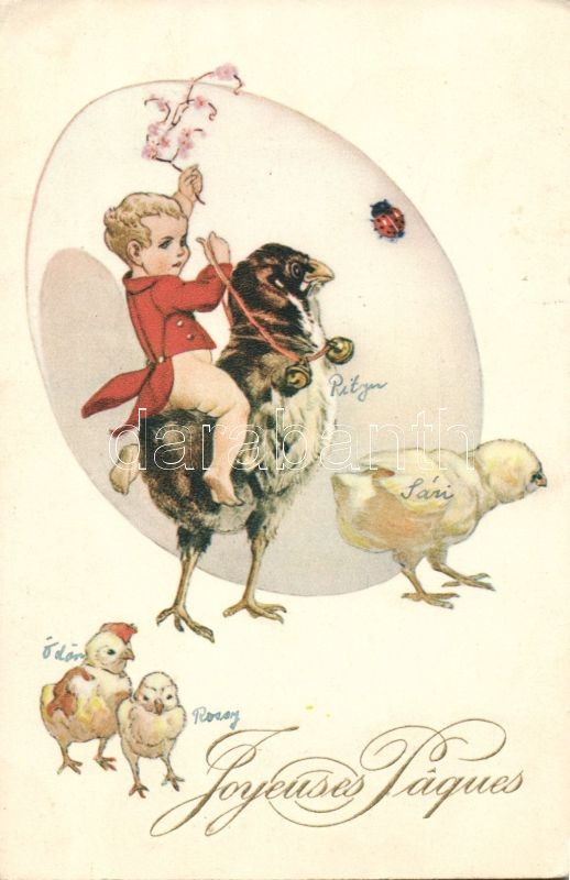 Easter Chicken riding boy, Húsvét, csirkén lovagoló fiú