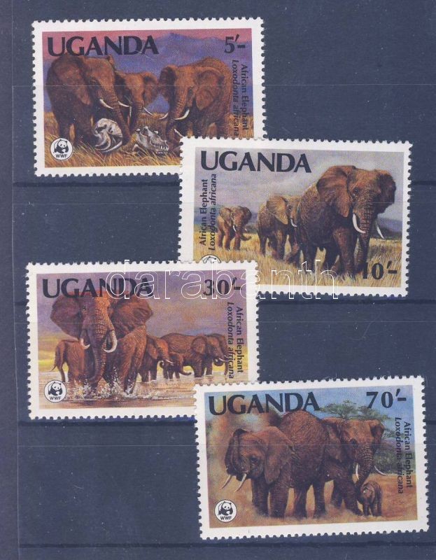 WWF African elephant set, WWF Afrikai elefánt sor, WWF Afrikanischer Elefant Satz