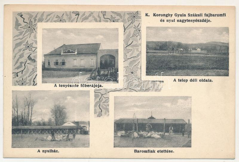 Szákul, Sacu; K. Koronghy Gyula fajbaromfi és nyúl nagytenyészdéje, főbejárat, nyúlház, baromfiak etetése. Dajkovits J. utóda / poultry and rabbit breeding farm, rabbit house, feeding of the poultry. Art Nouveau (EK)