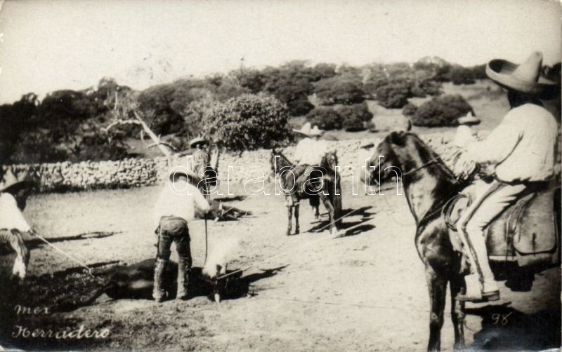 Herradero / Mexican horse farm, livestock branding, Mexikói ló tanya, lovak sütése