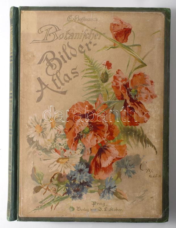 Hoffmann, Carl / Hoffmann, Julius: Carl Hoffmann s Botanischer Bilder-Atlas (Bilderatlas). Nach dem Natürlichen Pflanzensystem von De Candolle, Jussieu, Endlicher, Reichenbach u. A. - Zweite Auflage. Stuttgart, 1896. Verlag für Naturkunde XXXVIII 194 p. 459 növényképpel. Aranyozott egészvászon kötésben, illusztrált borítóval.