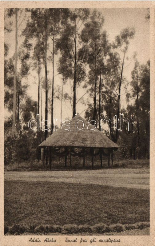 Addis Abeba, Eucalyptus pavillon