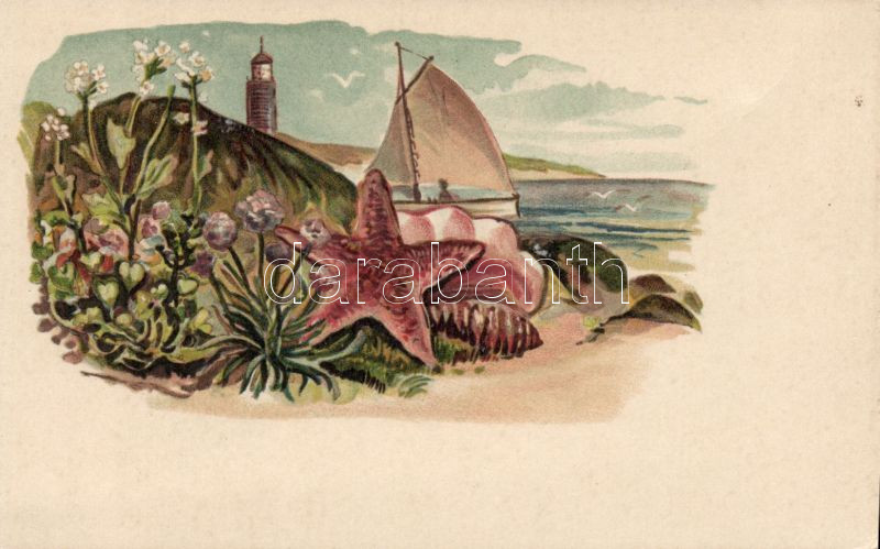 Seaside, lightning house, starfish, sailing boat litho, Tengerpart, világítótorony, tengeri csillag, vitorlás litho