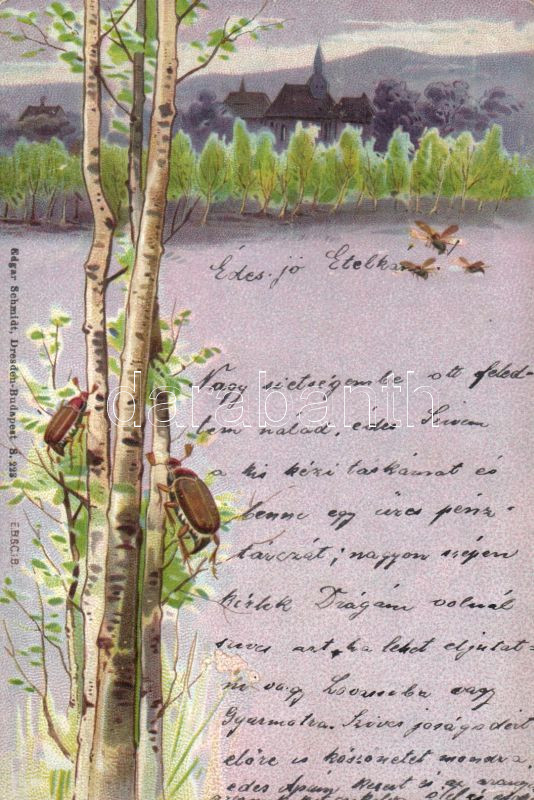 Branch, bug litho, Faág, bogár litho