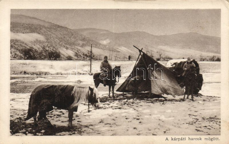Kárpáti harcok mögött, katonai tábor, lovak 'Érdekes Újság' kiadása, Military WWI camp in the Carpathian mountains