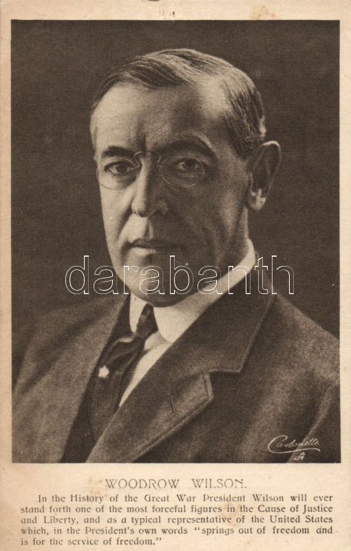 Woodrow Wilson, Raphael Tuck & Sons Carbonette P4979