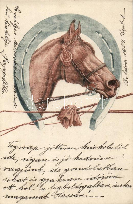 Horse with horseshoe, Ló patkóval