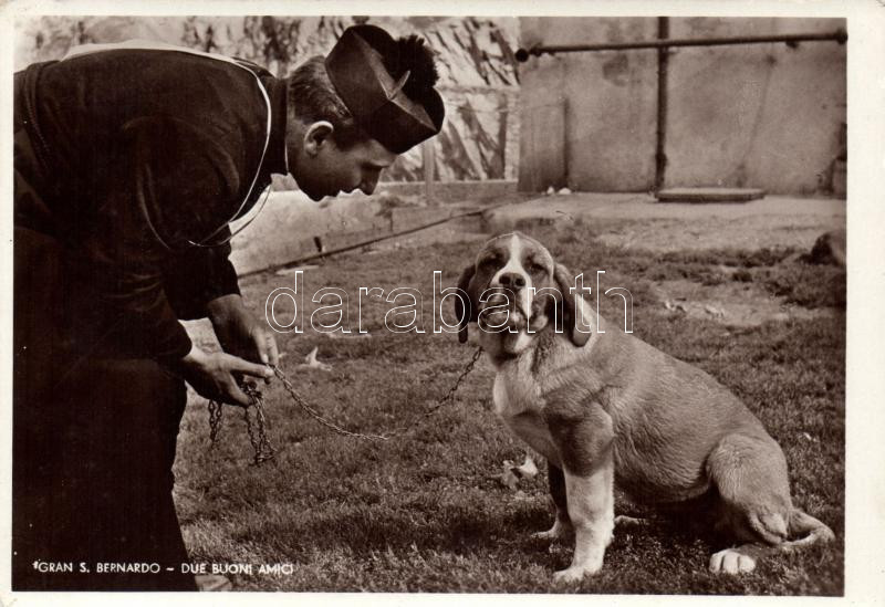 Priest with St. Bernard dog, Pap bernáthegyi kutyával