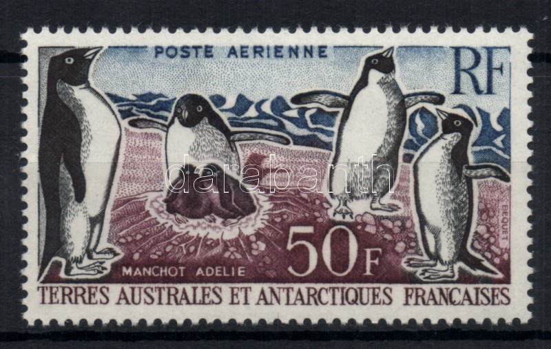 Állatok (Pingvin), Animals (penguin), Tiere (Adeliepinguin)