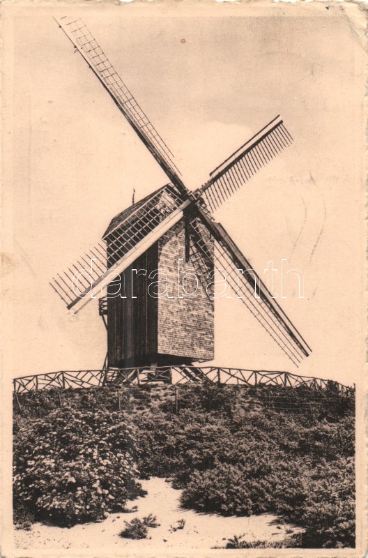 Saint-Idesbald, Le vieux Moulin / old mill