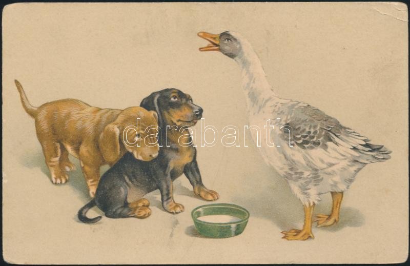 Dogs and goose, E.D. No. 540. litho, Kiskutyák és liba, E.D. No. 540. litho