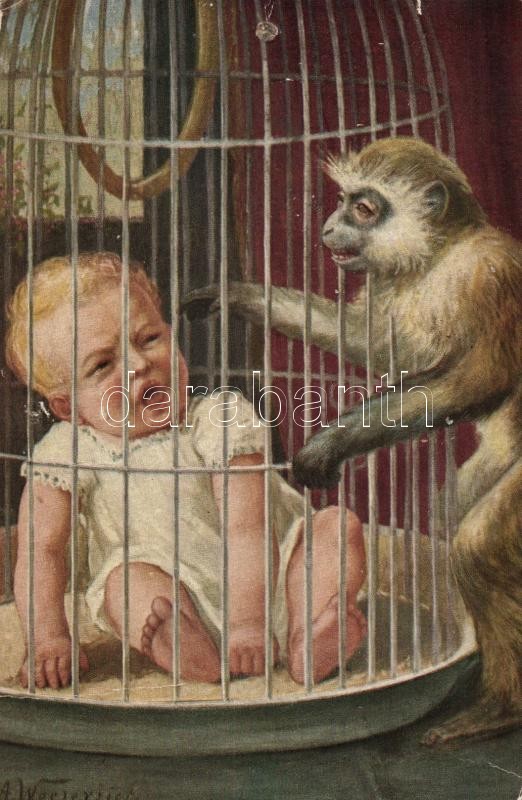 Baba majom humor s: A Weczerzick (lyuk), Baby monkey humour s: A Weczerzick (pinhole)
