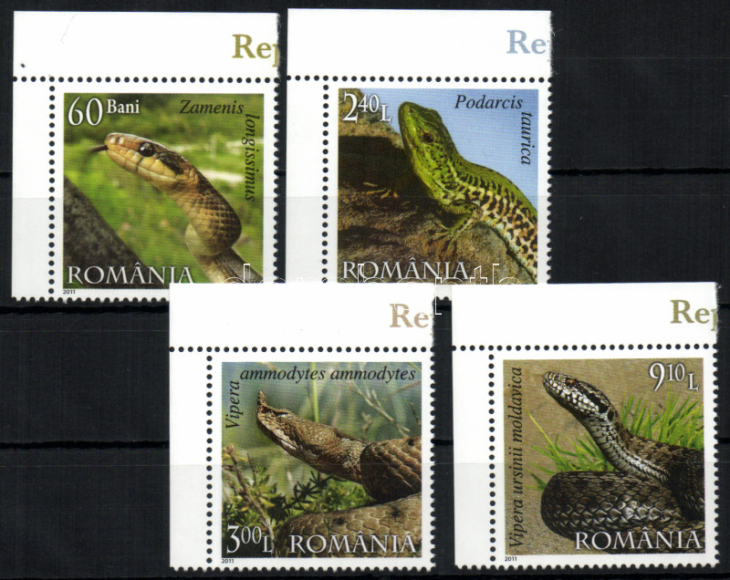 Reptiles set, Hüllők sor