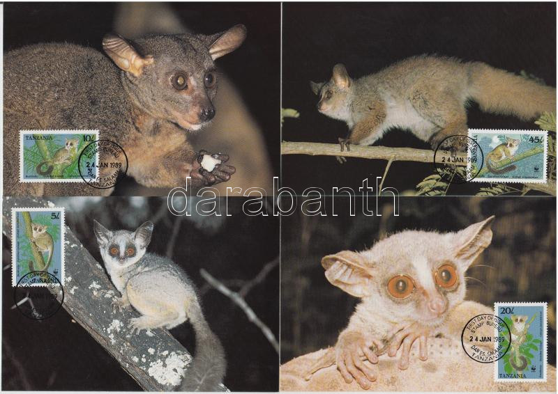 WWF: Bushbabies set on 4 CMs, WWF: Törpe galágó sor 4 db CM-en